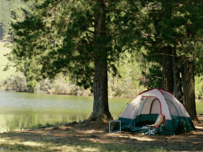green and tan camping tent beside a shade tree at the edge of a lake