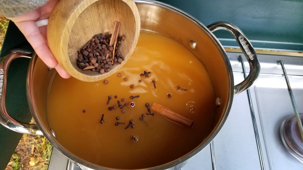 adding cinnamon, allspice, and cloves to the paleo mulled apple cider in a stockpot