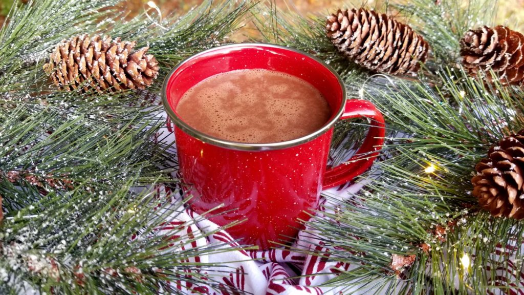 paleo hot chocolate in a red mug surrounded by pine boughs