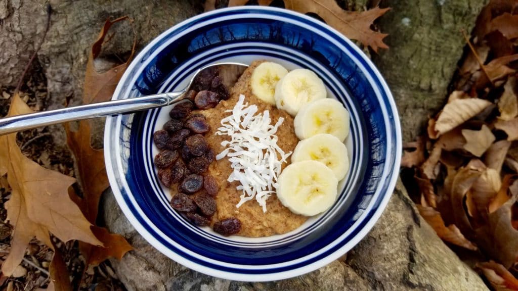 paleo oatmeal served in a bowl with raisins, bananas, and coconut toppings