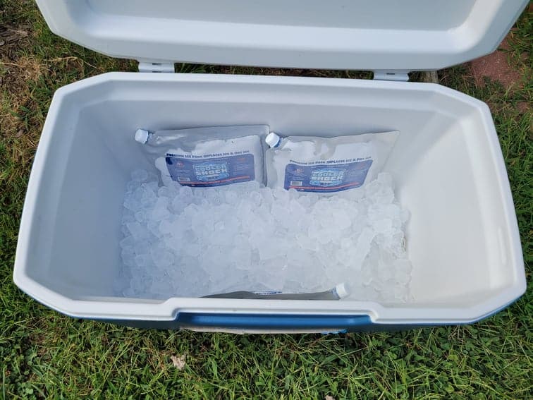 large cooler partially filled with ice and three reusable ice packs 
