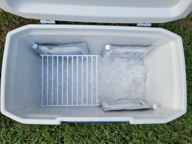 cooler with ice in the bottom and a wire rack above