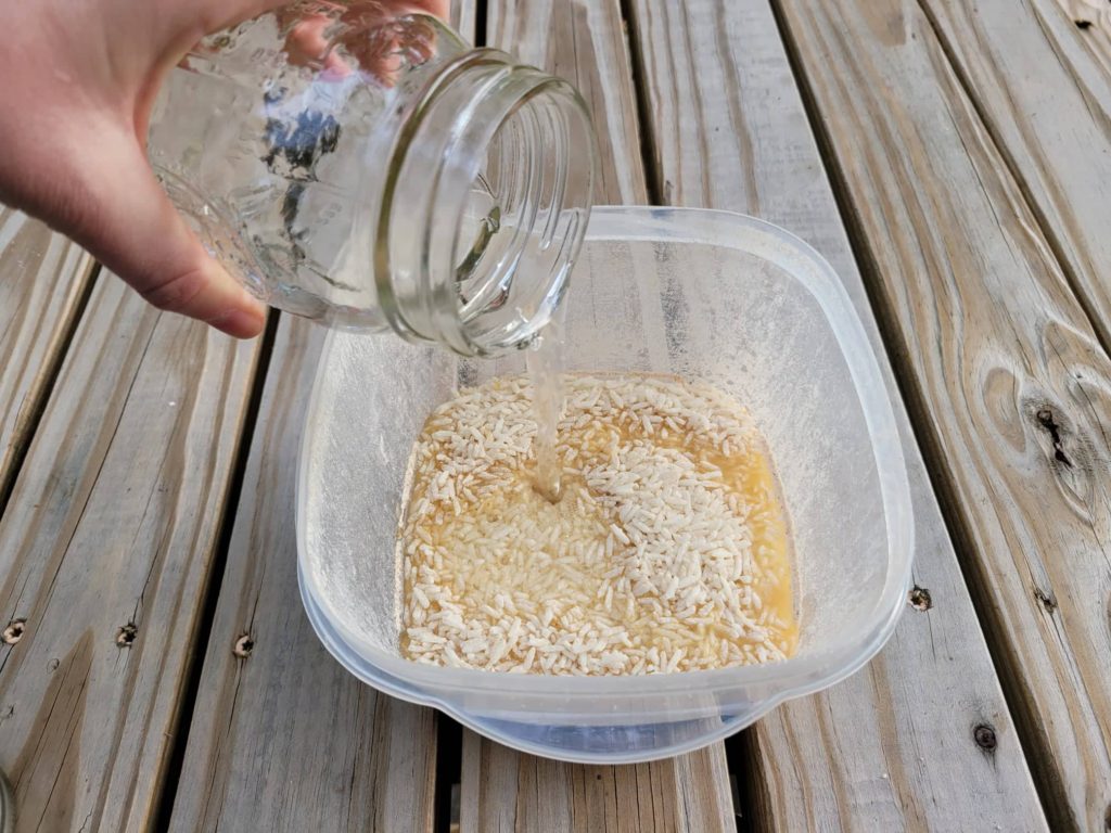 pouring water into rice-filled container 